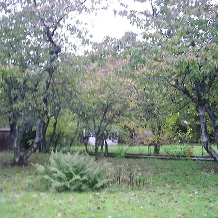 Bed & Breakfast La Demeure Avesnoise Wignehies